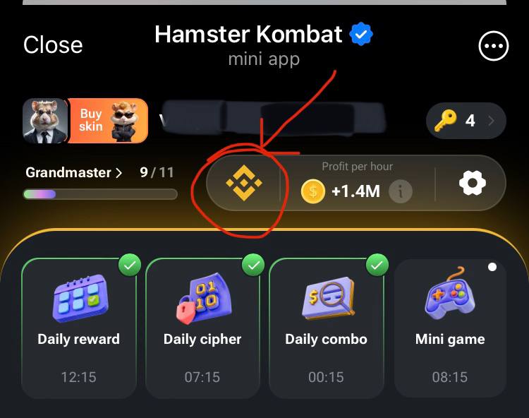 hamster kombat daily combo